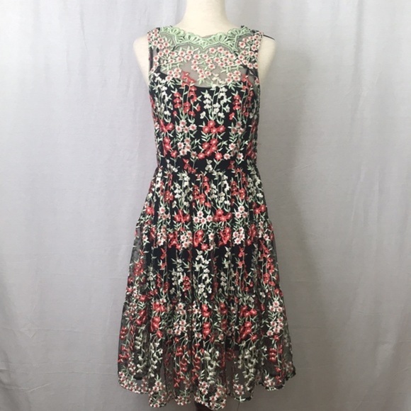 ANTHROPOLOGY HD in Paris Embroidered Emilia Women's Dress Sz 4 - Picture 4 of 11